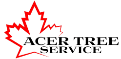 Acer Tree Service