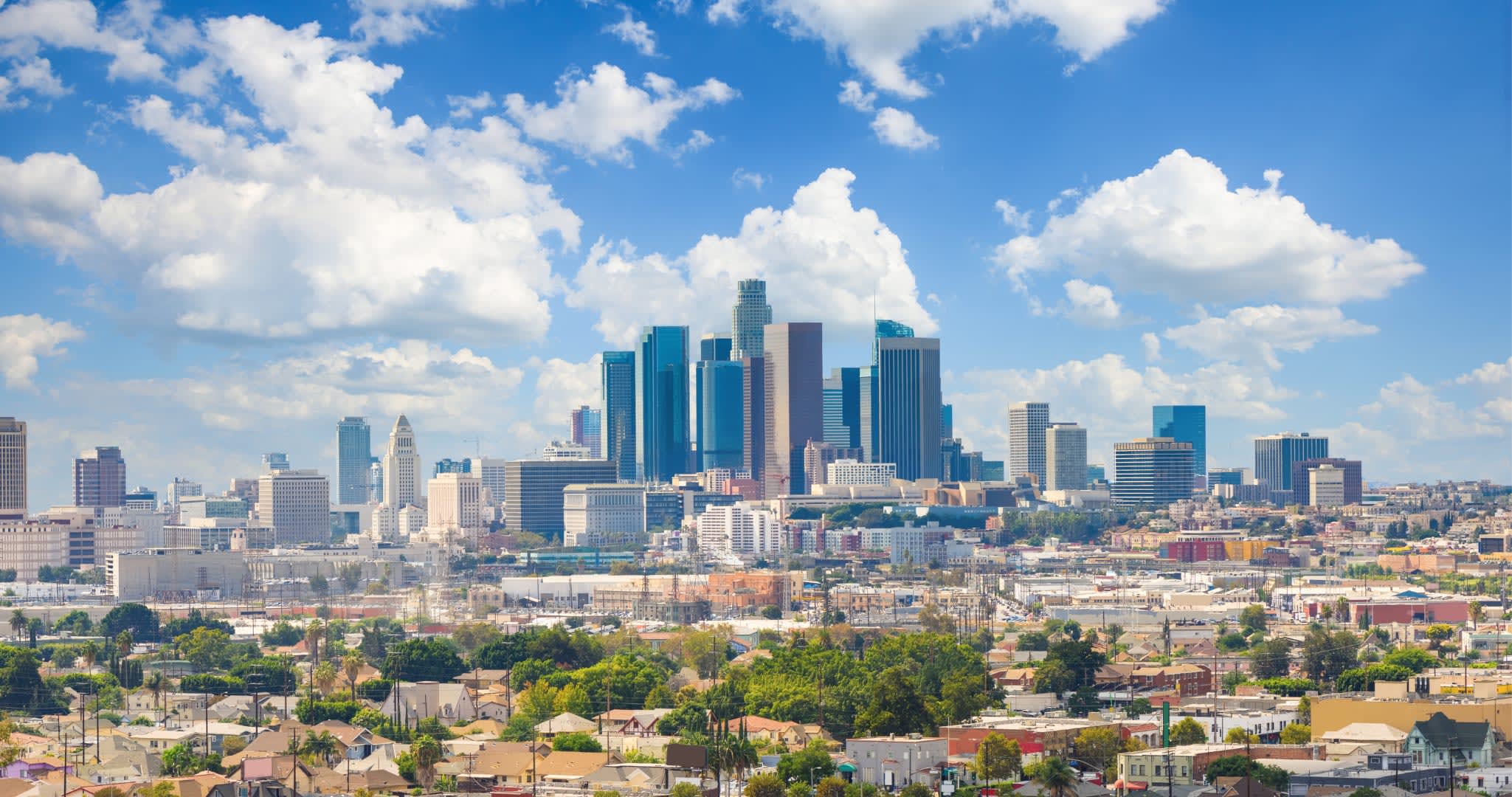 Freedom Assembly Registry for CA Descendants of Enslaved Persons