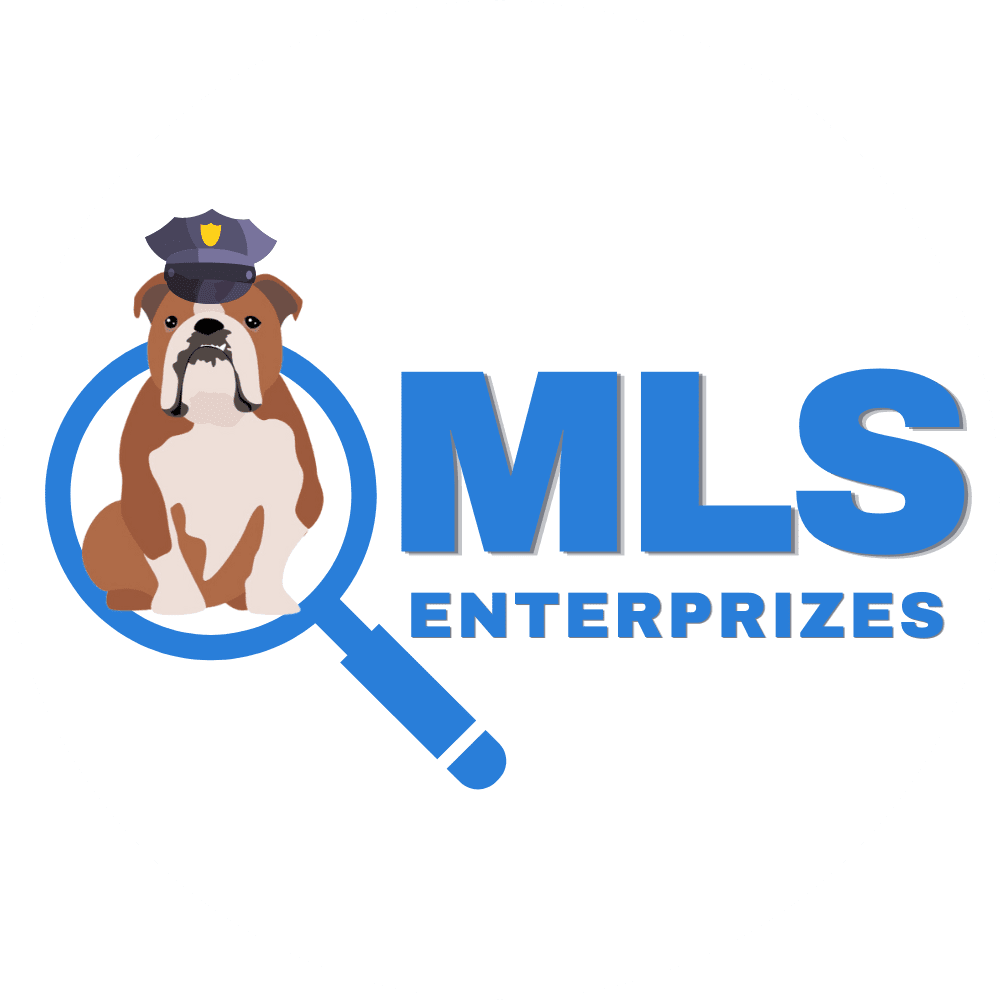 MLS Enterprizes, LLC