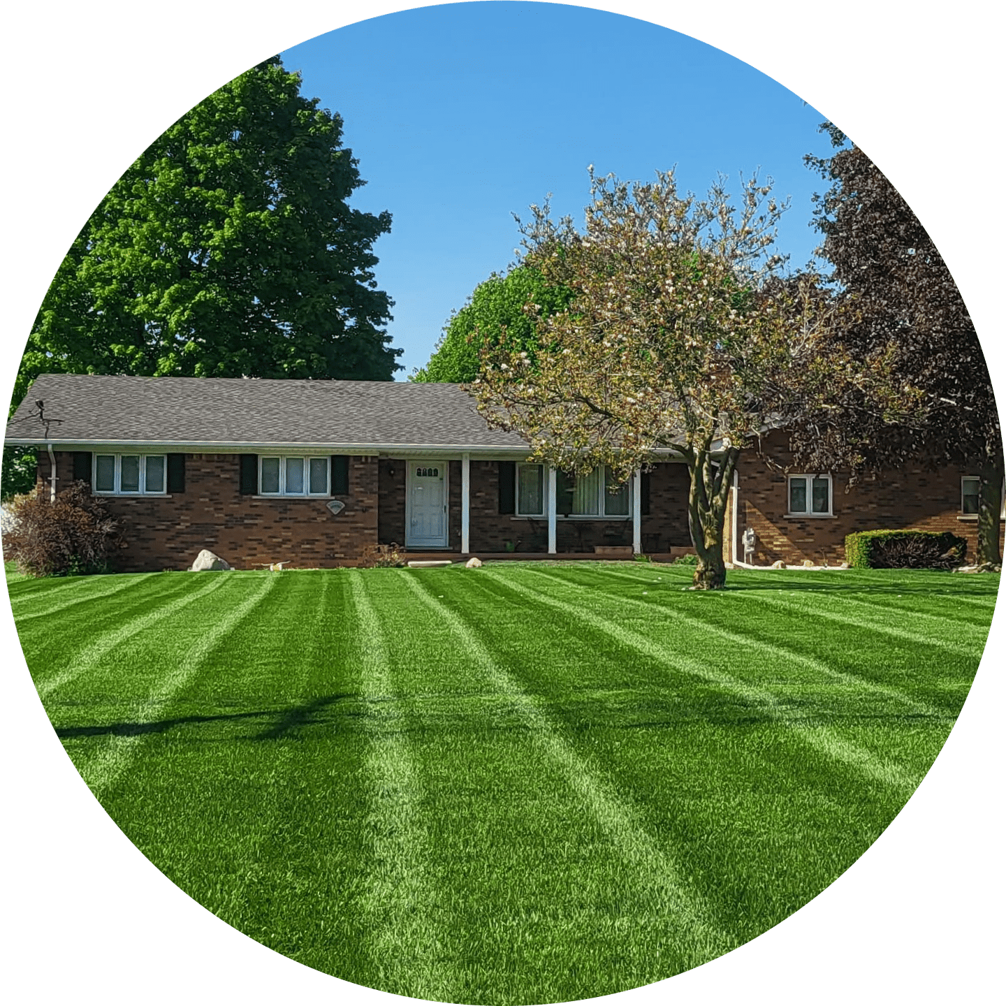 A Cut Above Lawn Care LLC Landscaping Services Ypsilanti