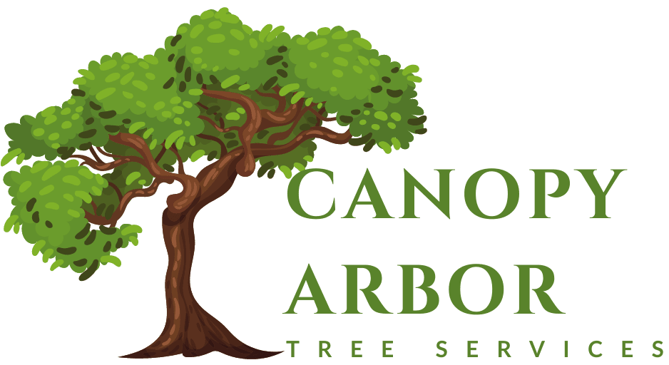 Canopy Arbor