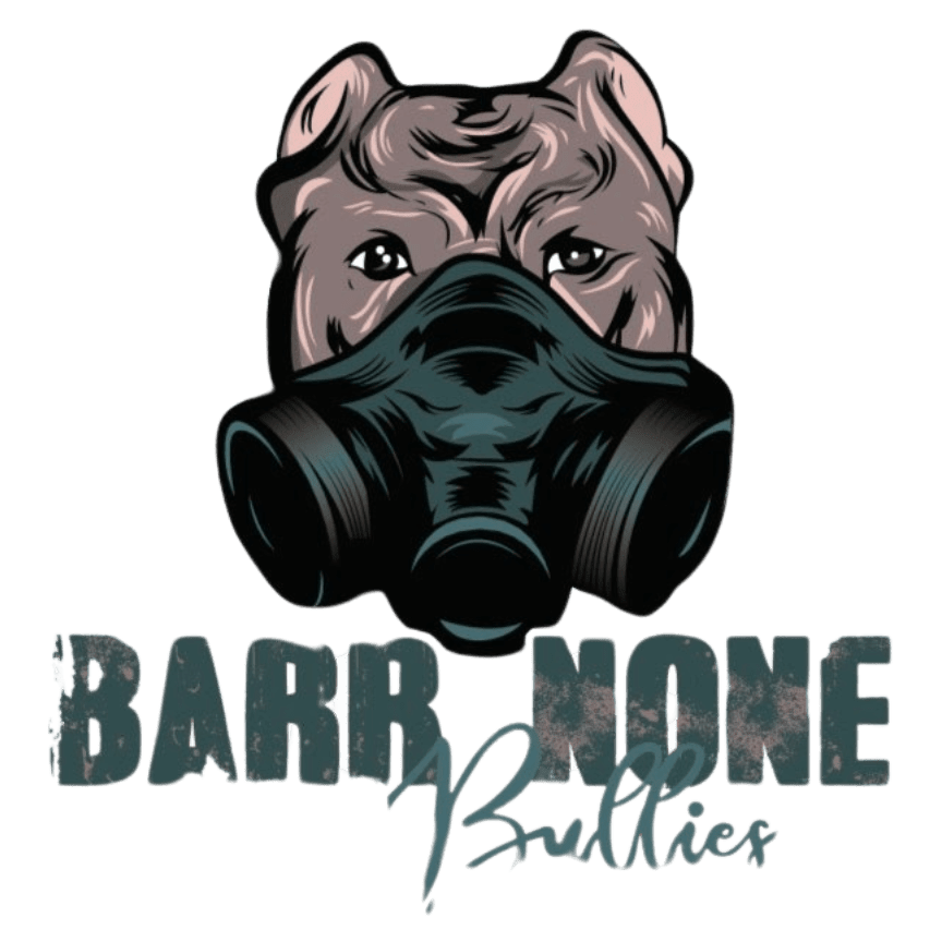 Barr None Ent. | Joplin Dog Training