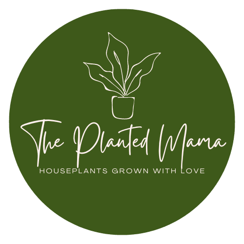 The Planted Mama