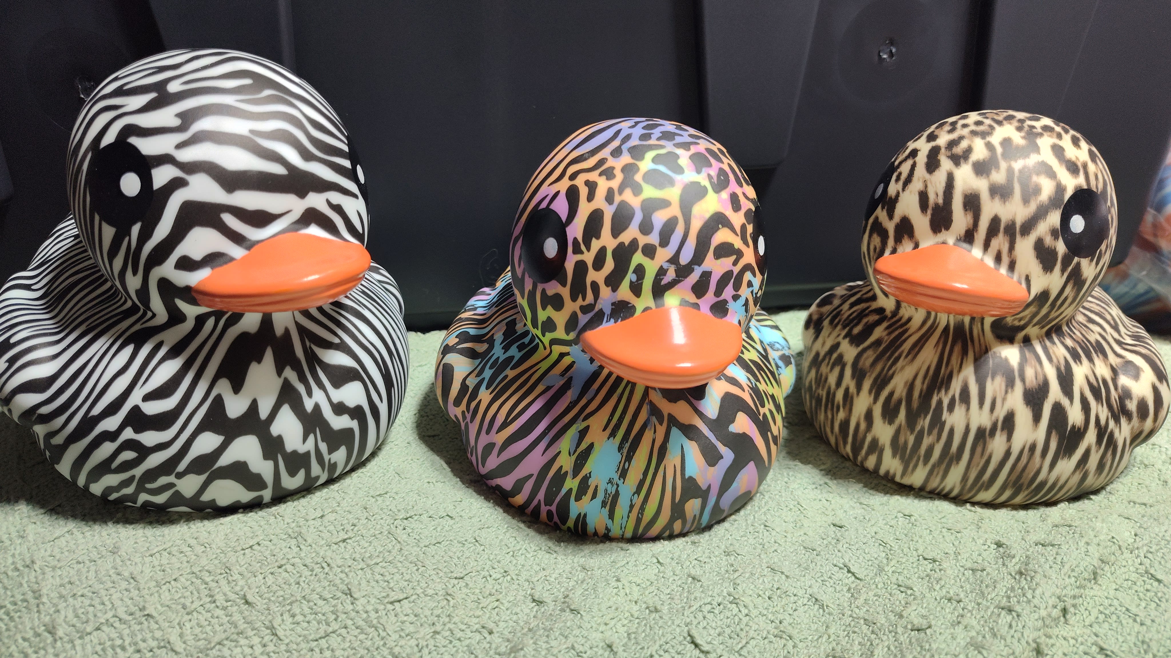 Animal Print - 6 Inch Quackers - Quacker Packs Pack O' Quackers ...