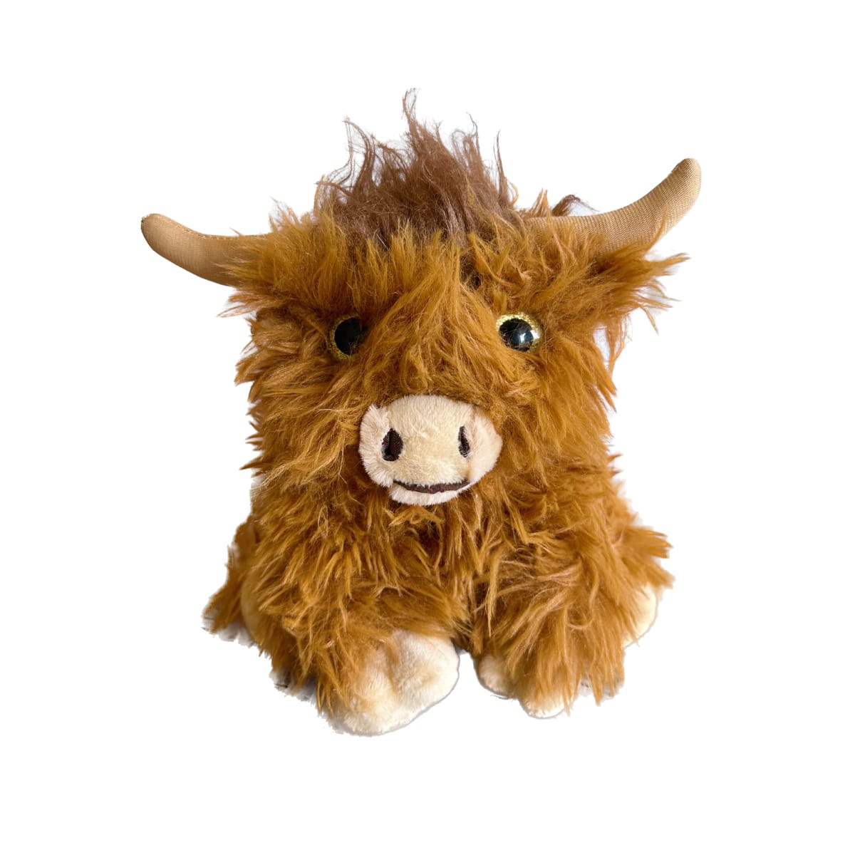 Hazel Highland Cow - 8