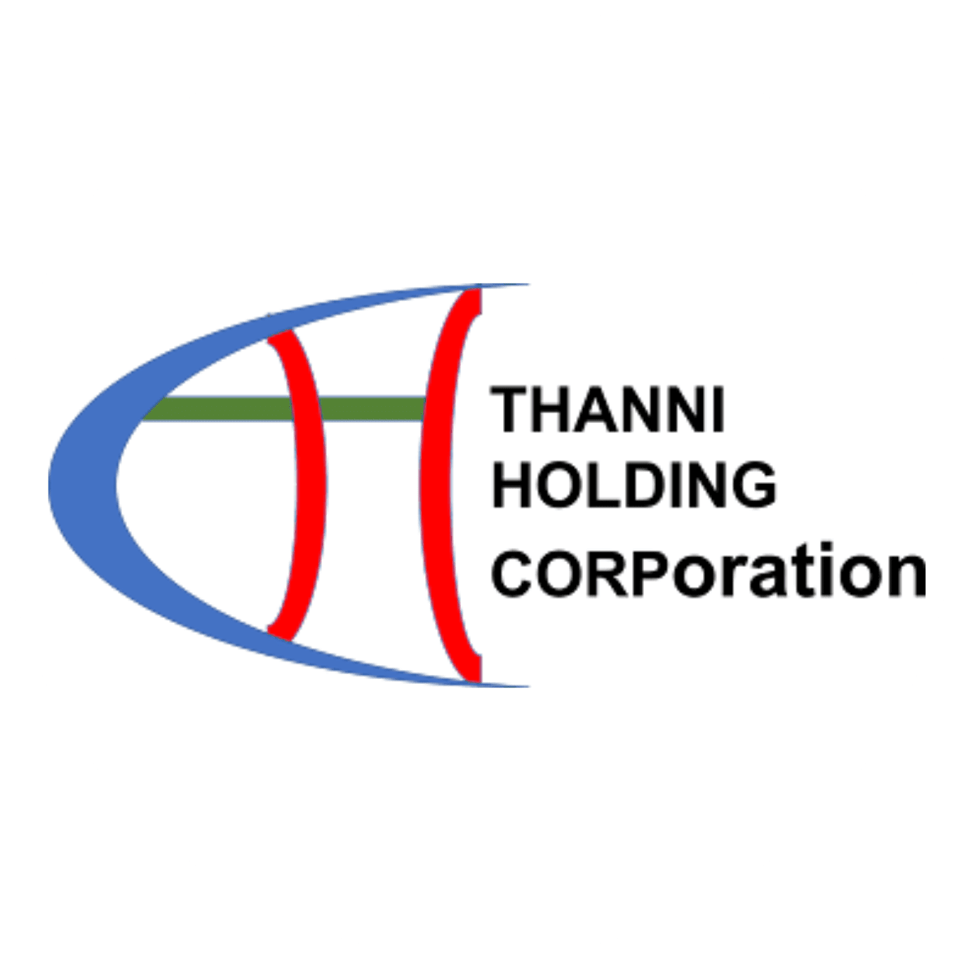 Thanni Holding Corp