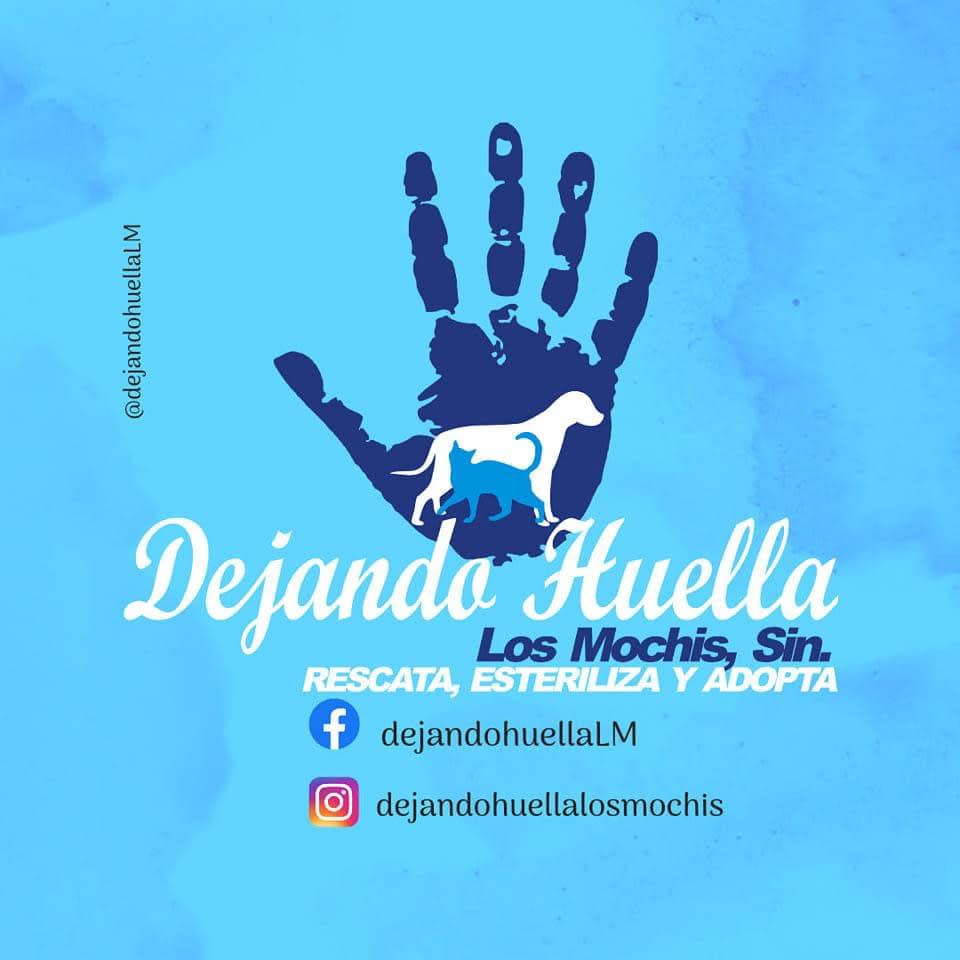 Dejando Huella Los Mochis