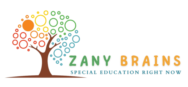 Zany Brains Special Education Right Now