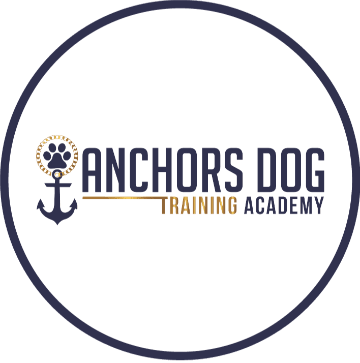 Anchors Dog Training Academy