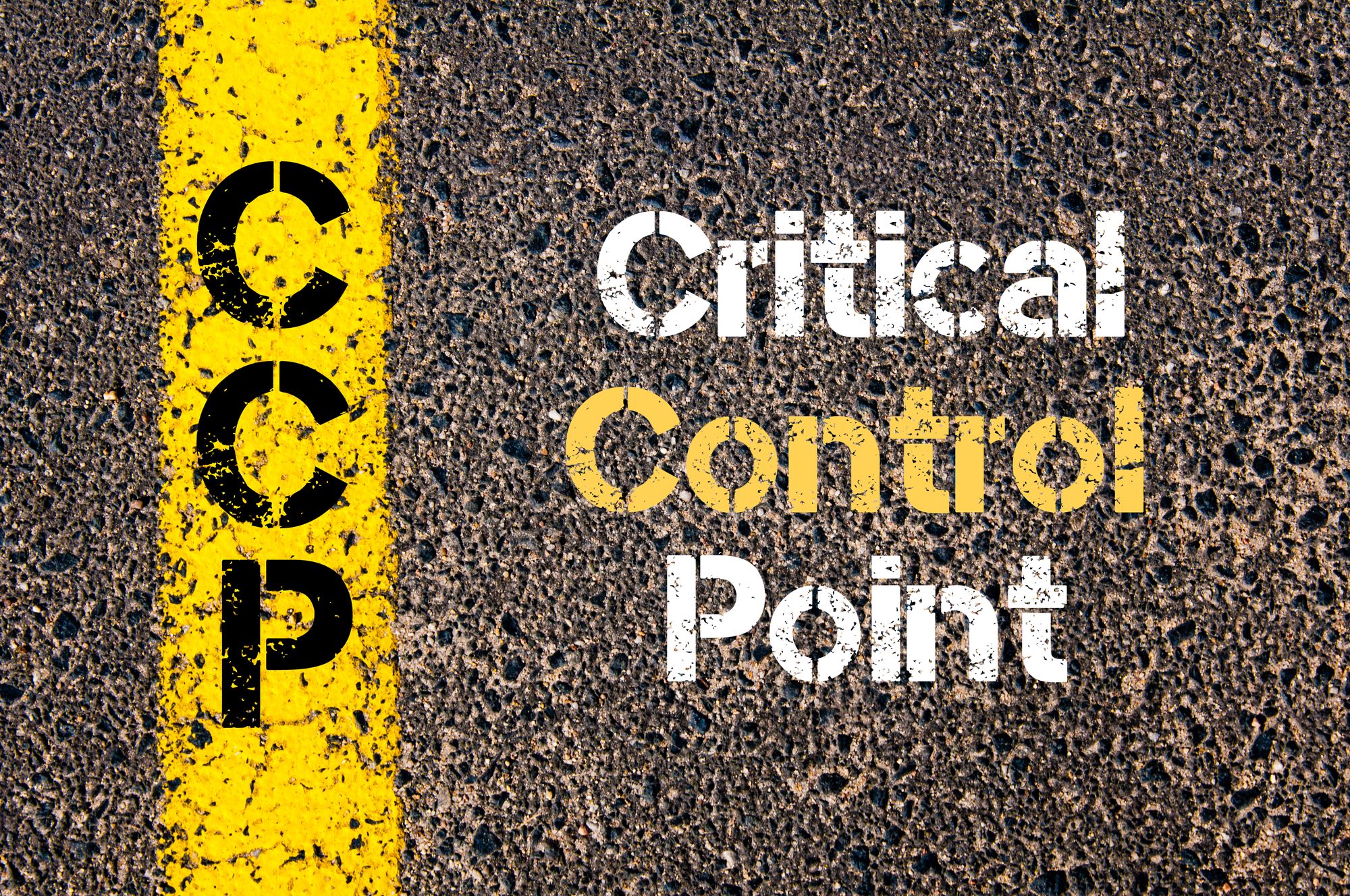 Understanding Critical Control Points in HACCP | HACCPDIY