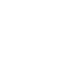 VIP Wellness Getaways