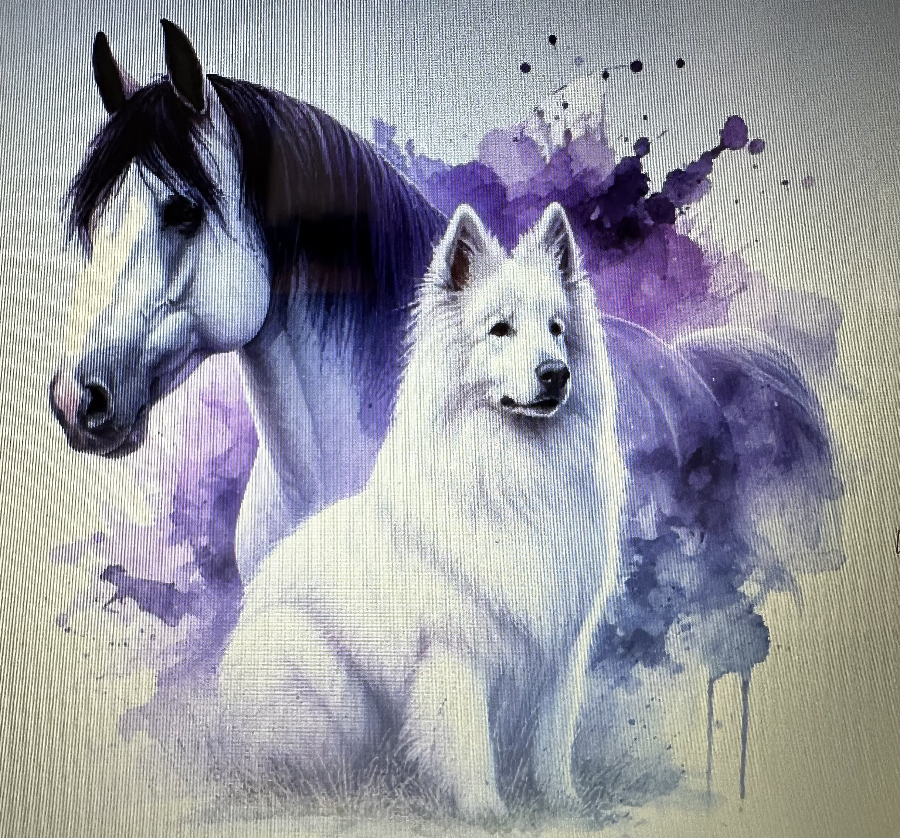 Bella Neve Shepherds