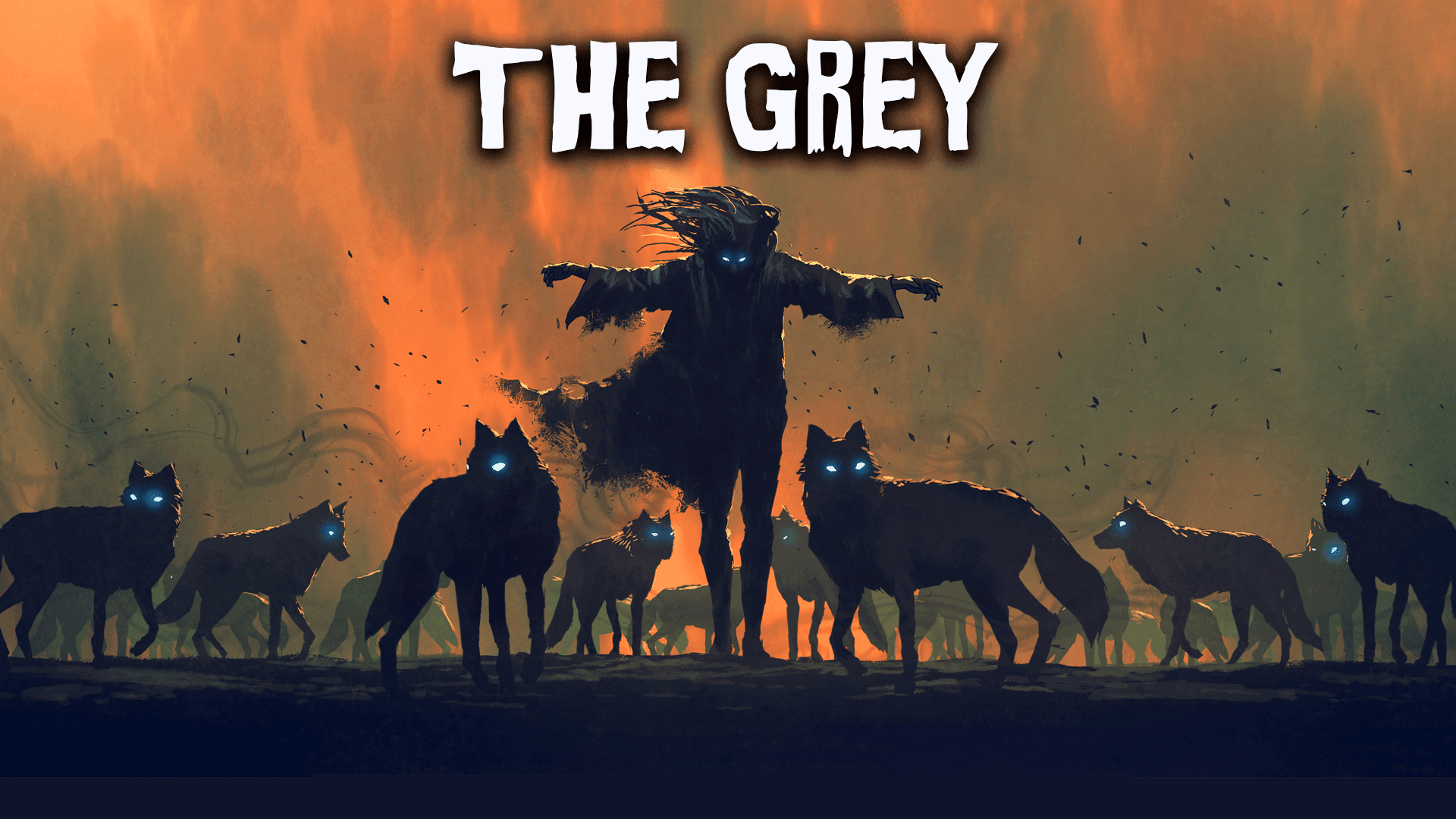 The Grey