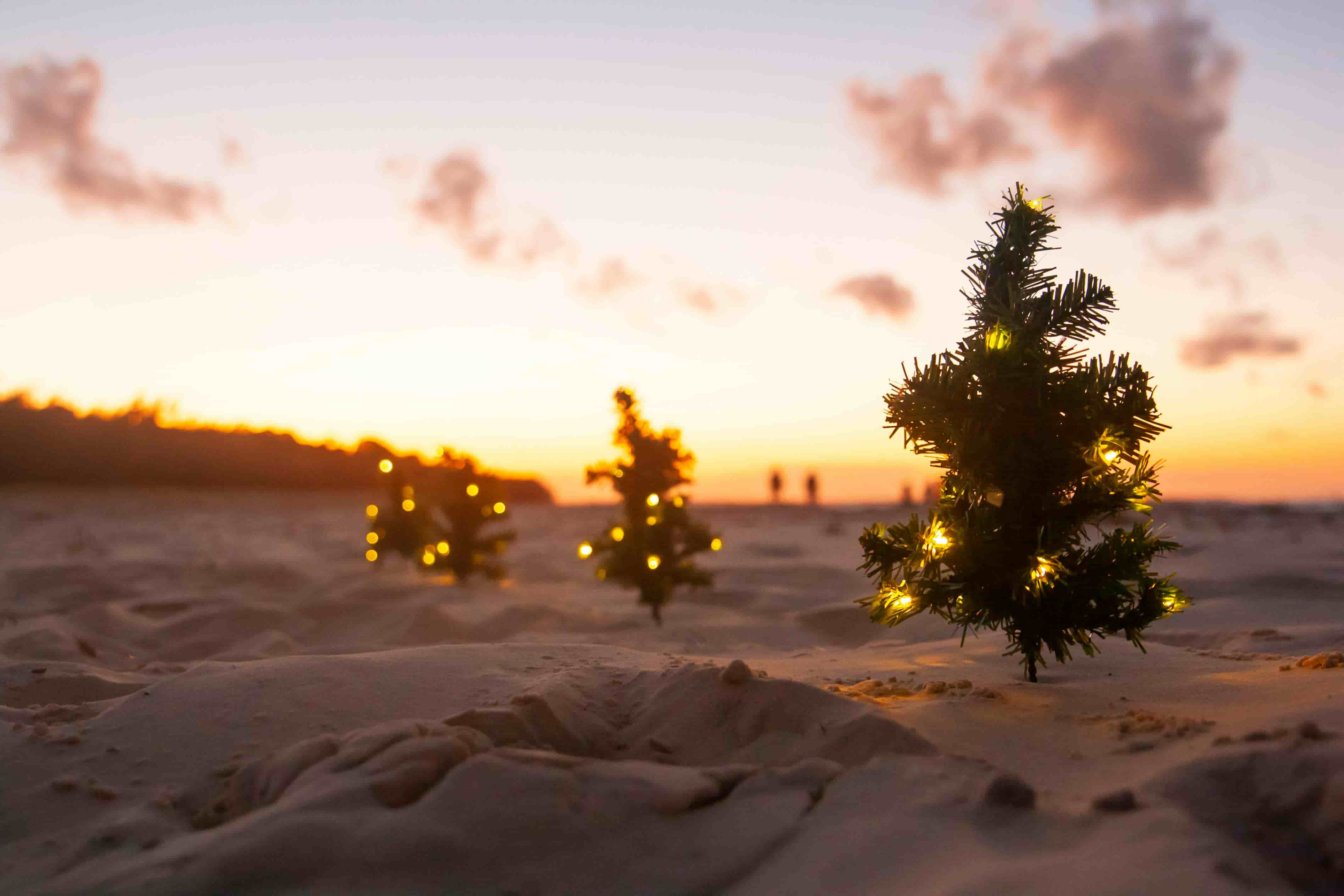 Tips for Celebrating Christmas in July - Get in the Spirit!