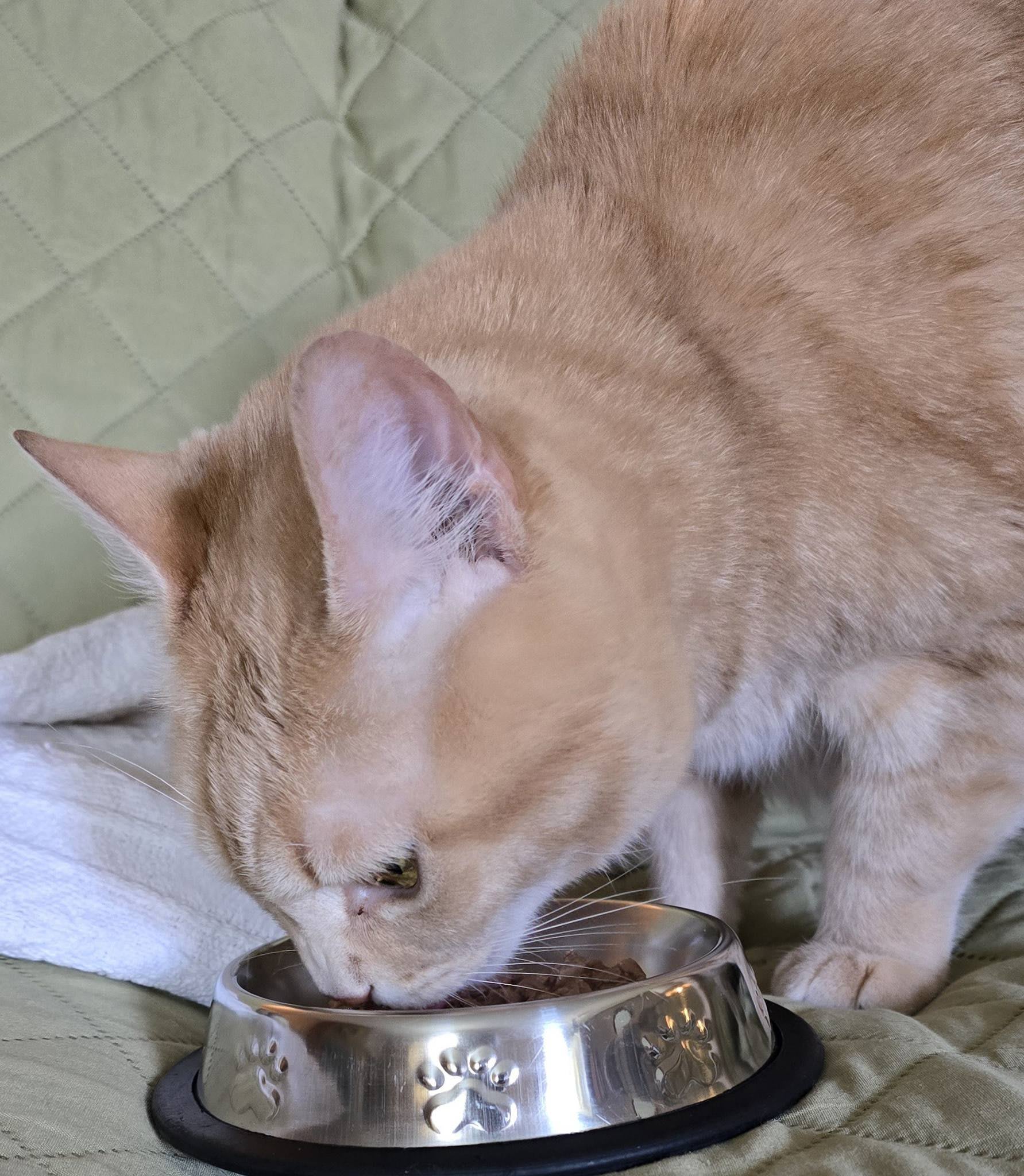 Section background image