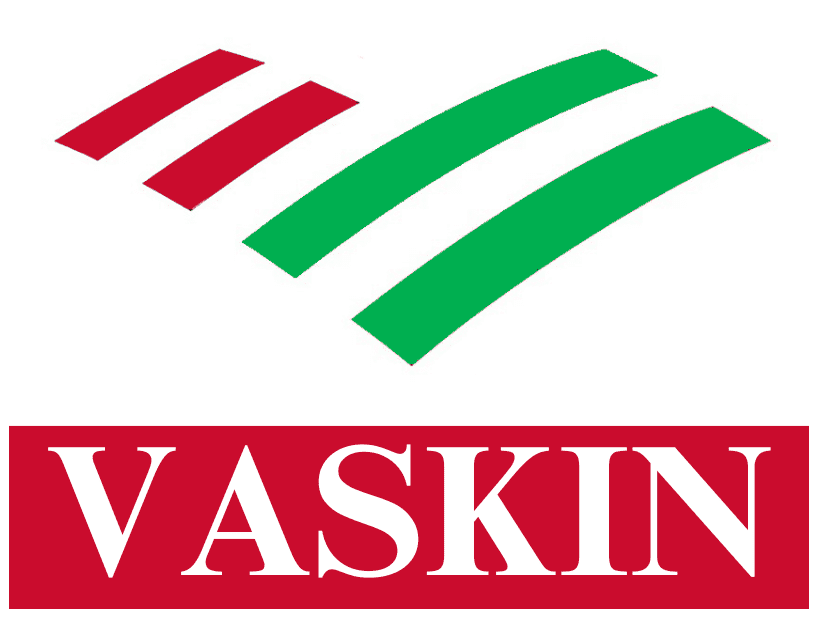 Vaskin Energy Consultants, LLC