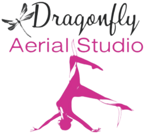 Dragonfly Aerial Studio