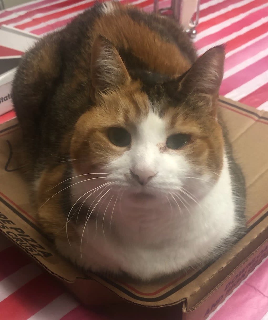 Section background image