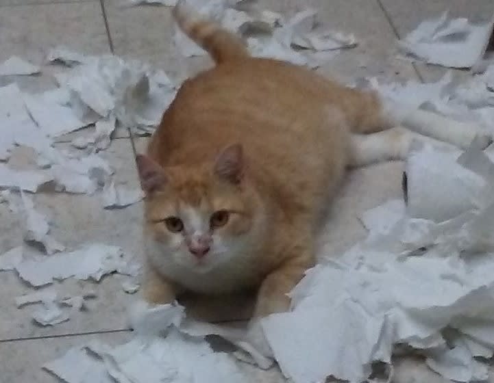 Section background image