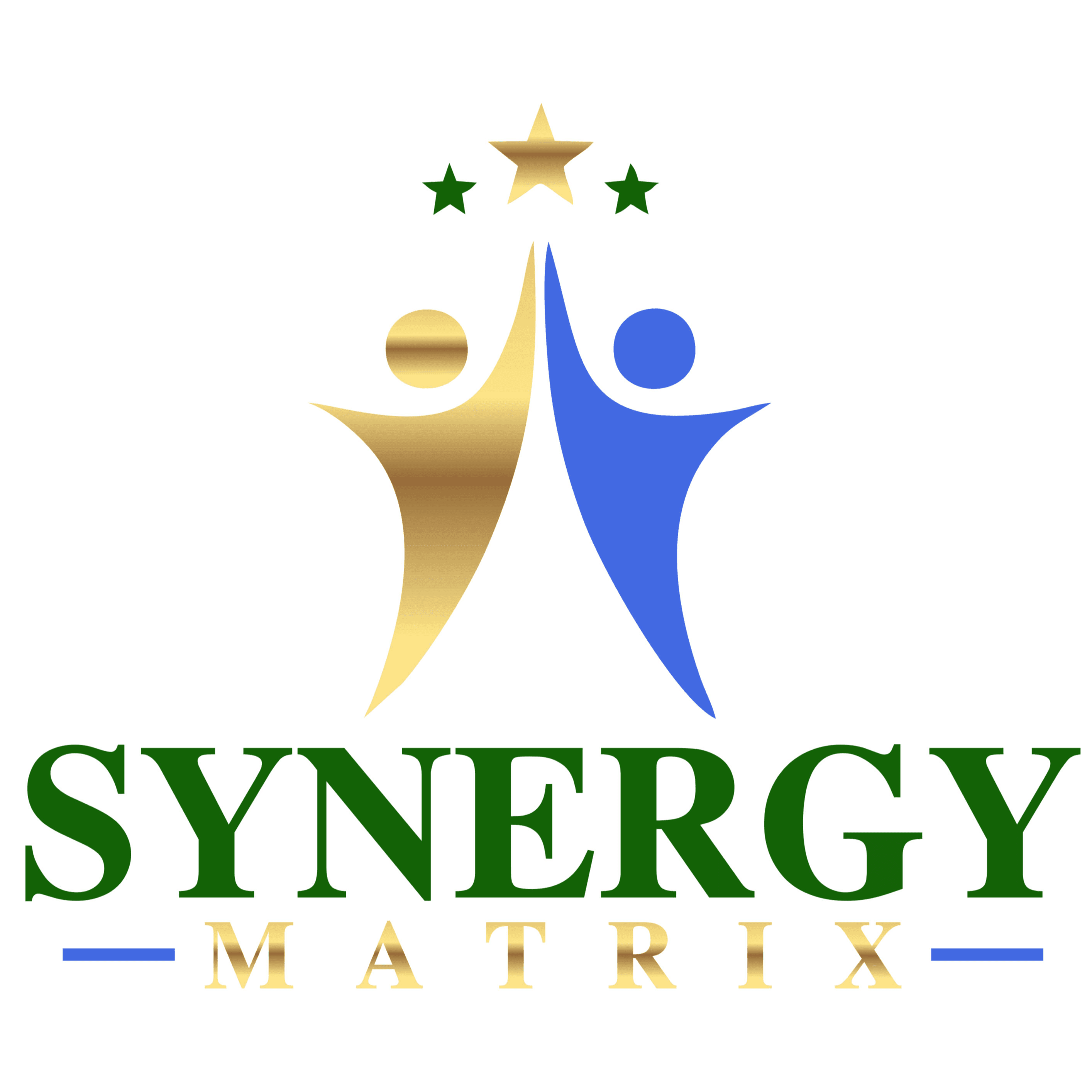 Synergy Matrix