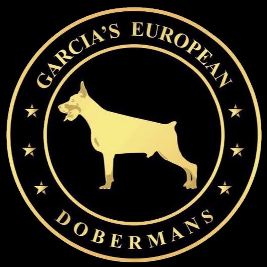 Garcia's European Dobermans