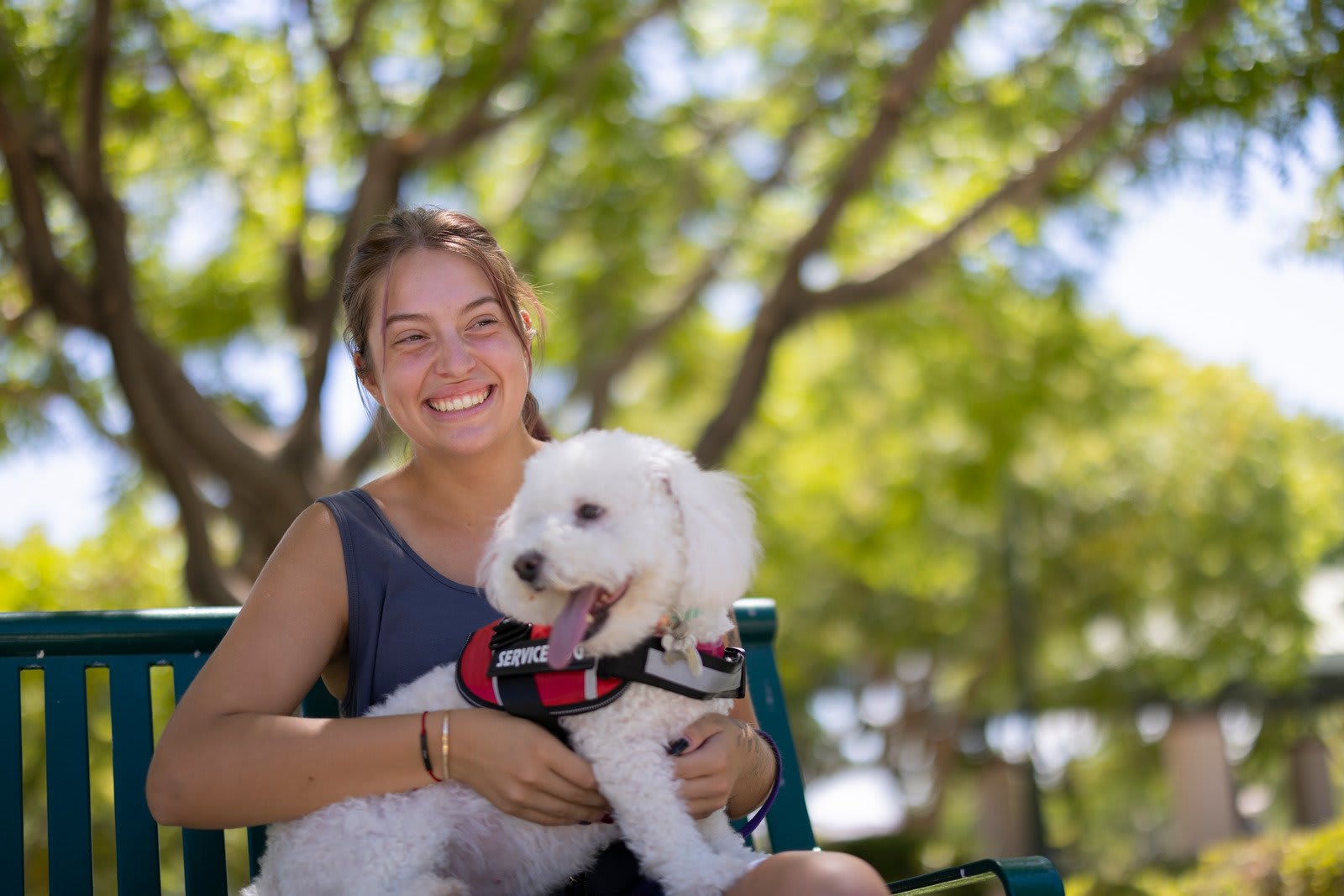 Pet Friendly Hotels Marriott Emotional Support Animal Emotional