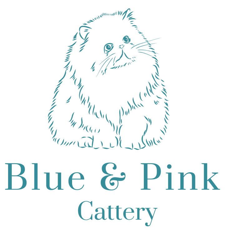 Blue & Pink Cattery