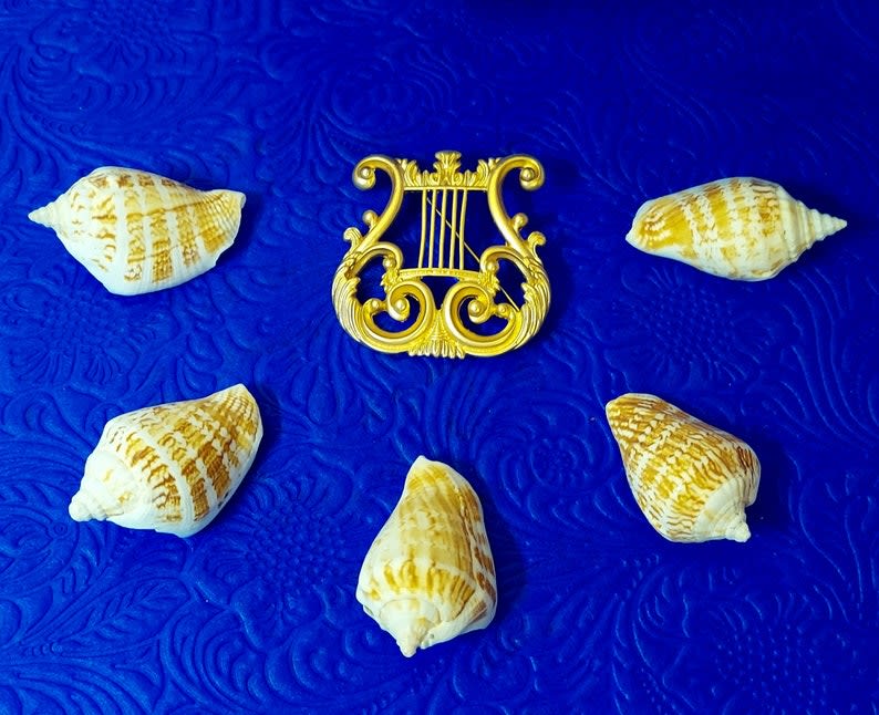 X f temirchi qizi porno