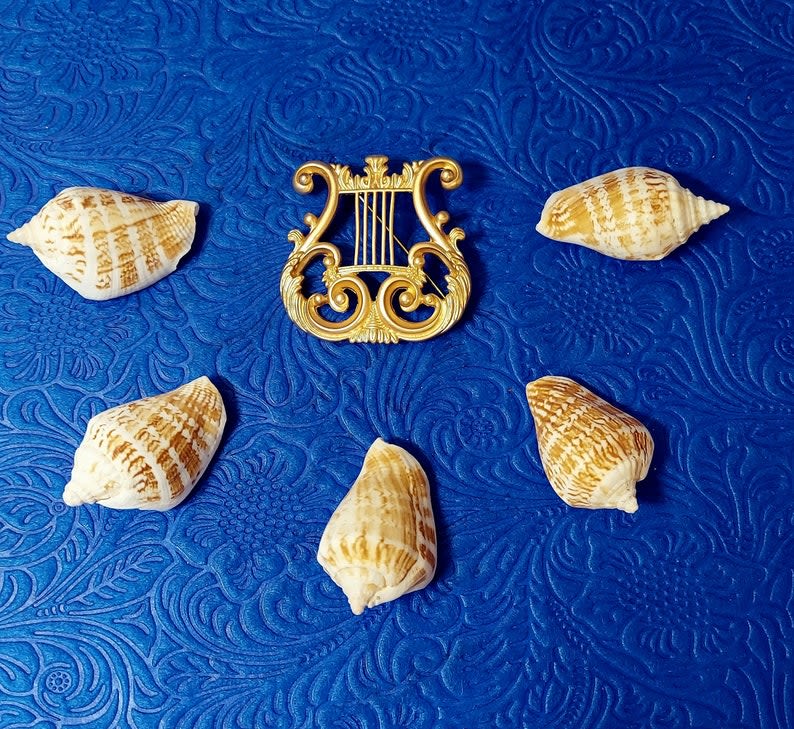 Tajribali er-xotin porno video bilan swinger jinsiy aloqa Qarzlar uchun sorish video