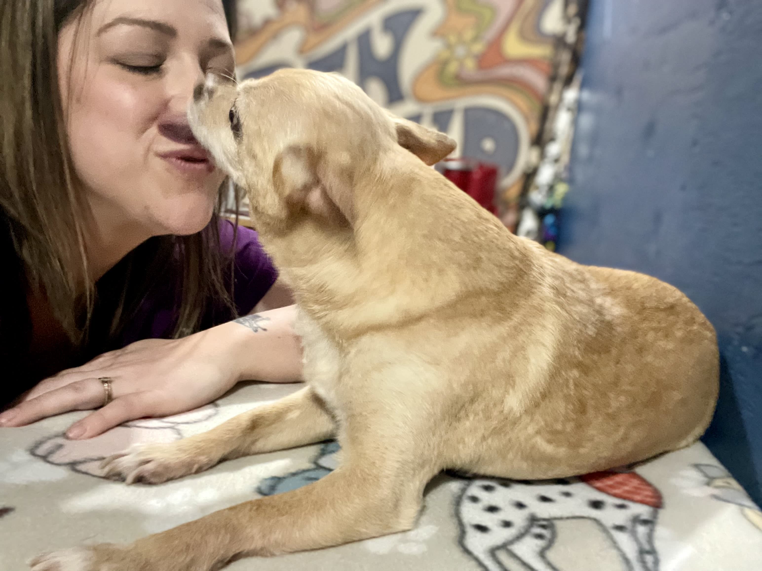 Animal Spa The Spa - Service Offered - PAWSitive Animal Massage - Small Animal ...