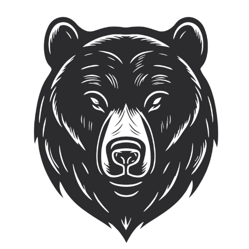 Black Bear Cybersecurity, LLC