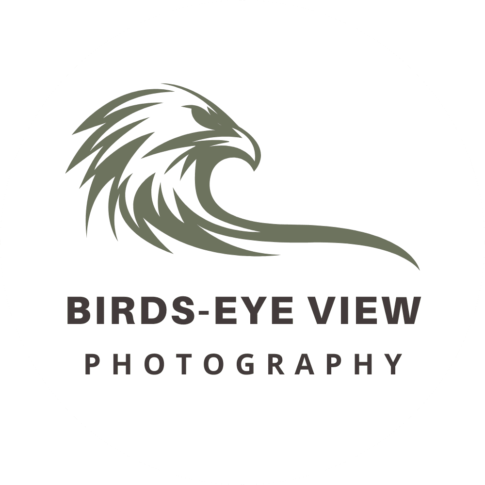 Birds-Eye View Photography