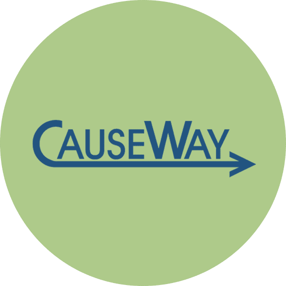 CauseWay Consulting, LLC