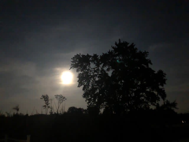 Be a Light