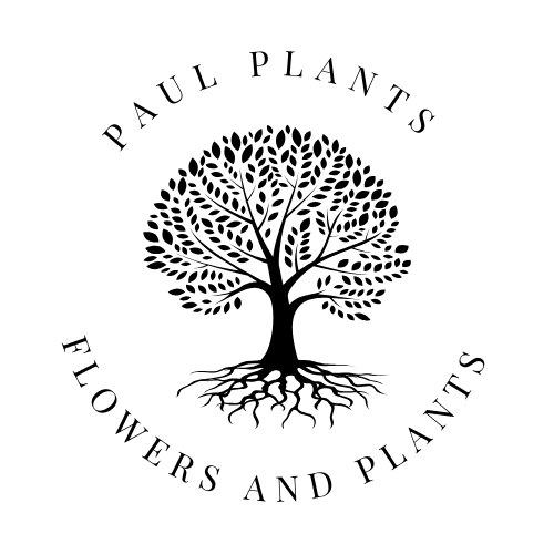 Paul Plants