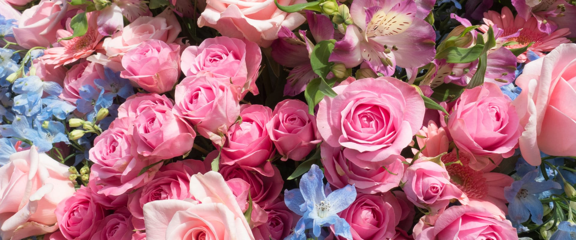 Flying Petals Floral Flower Shop Jackson, OH