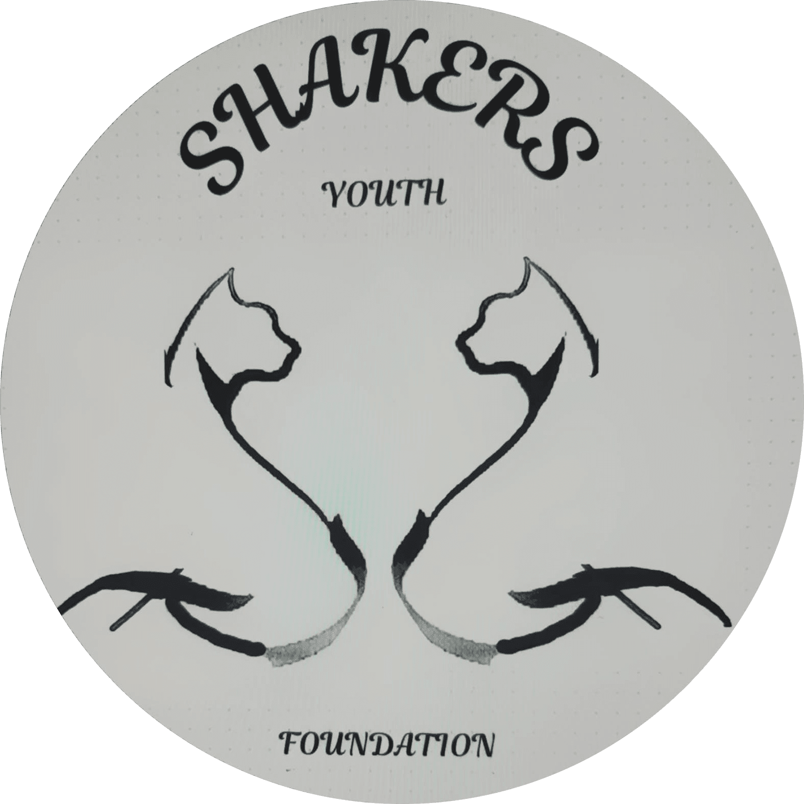 Shakers Youth Foundation