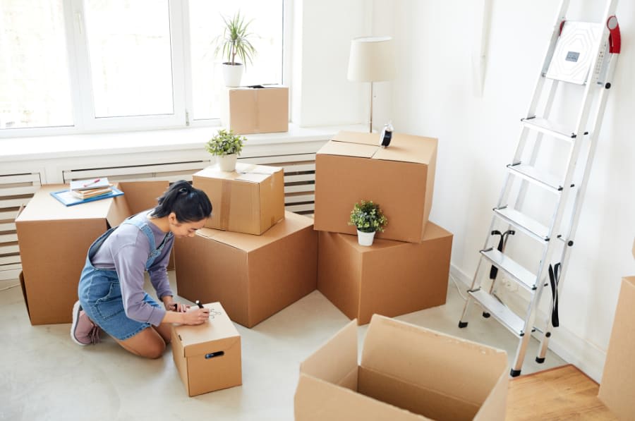 Stay Sane in the Winter with Decluttering: Tips and Tricks