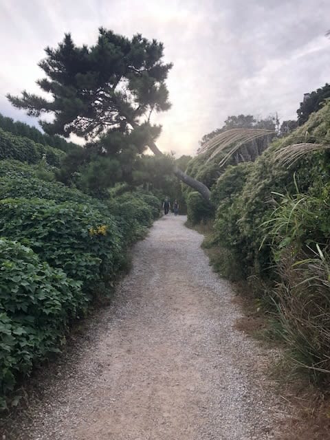 The Way to God