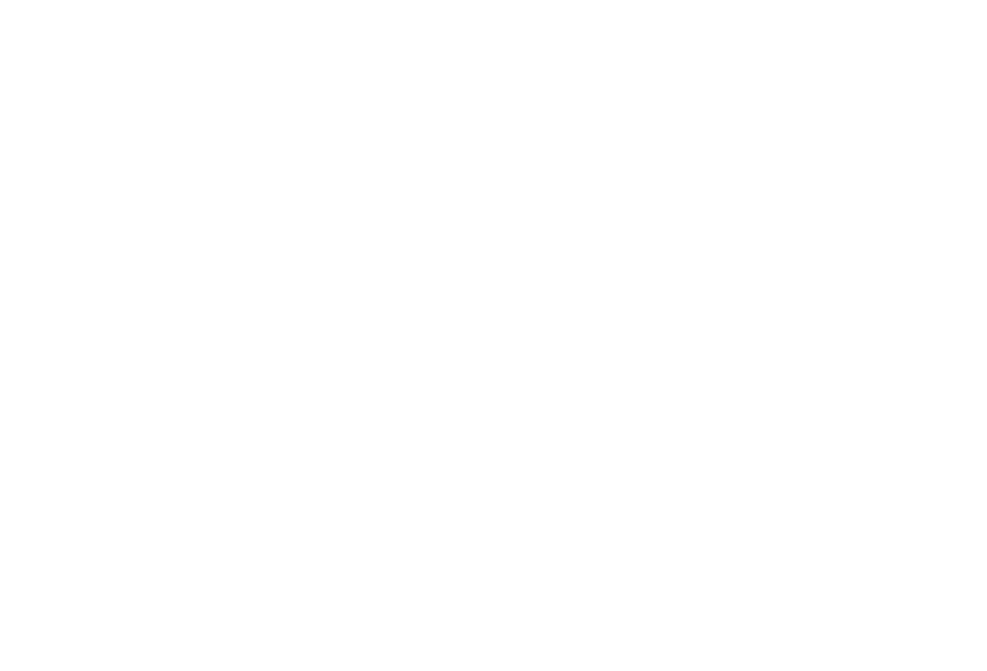 Leonard Anderson Photography, LLC