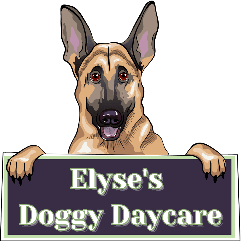 Elyse's Doggy Daycare