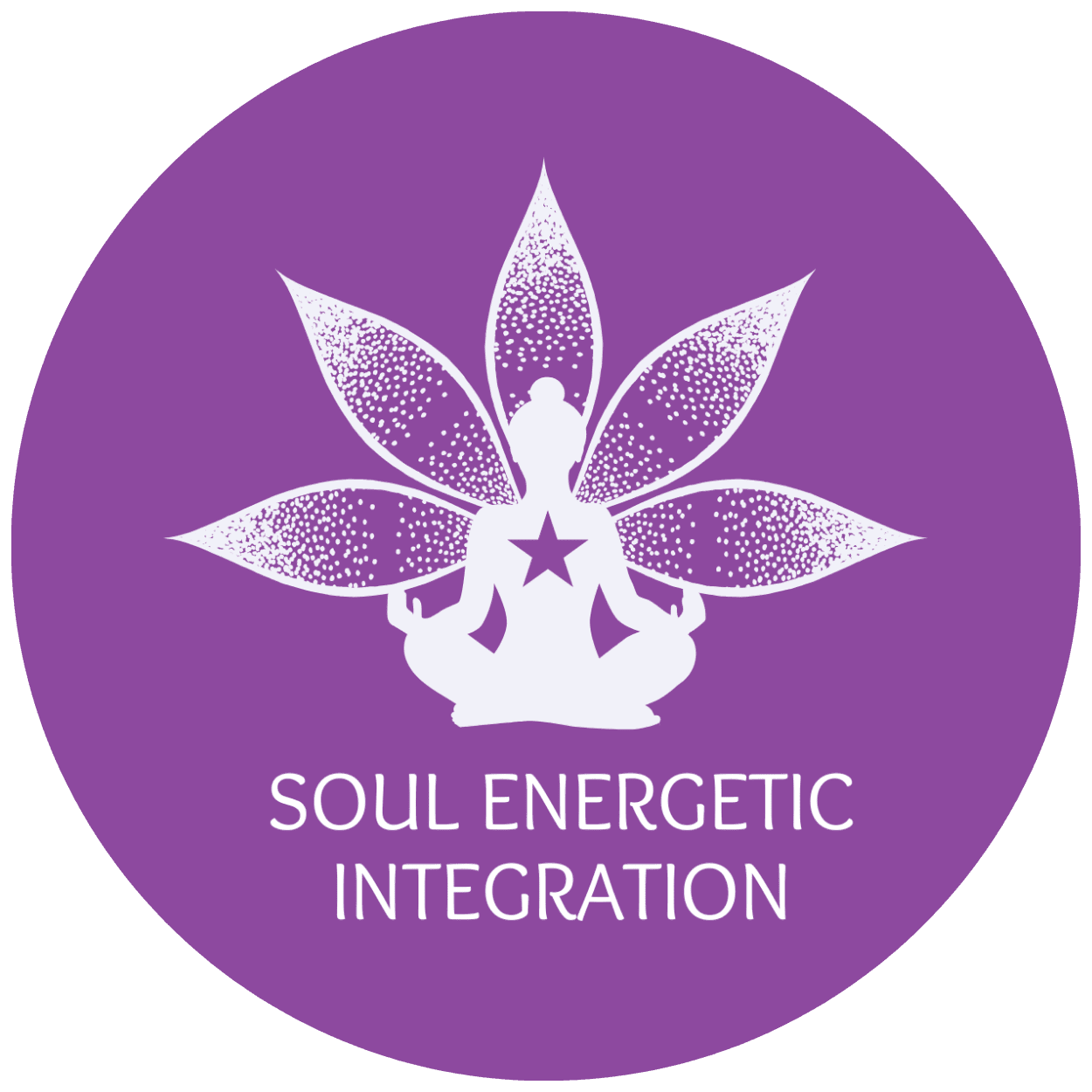 Soul Energetic Integration