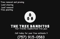 Tree Banditos