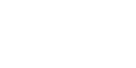 Wells Family Initiatives, LLC