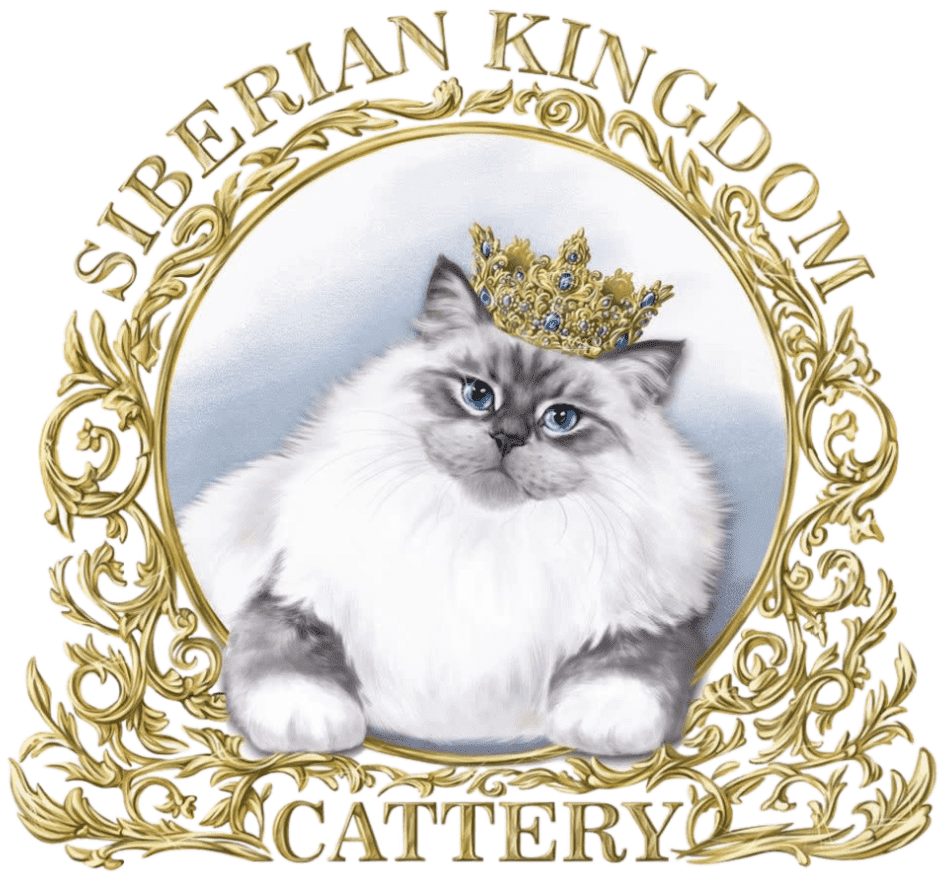 Siberian Kingdom Cattery