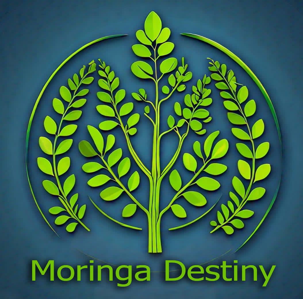 Moringa Destiny