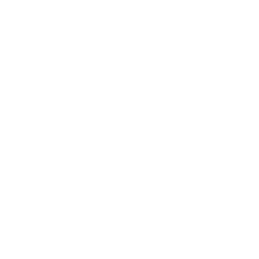 Designed In His Image