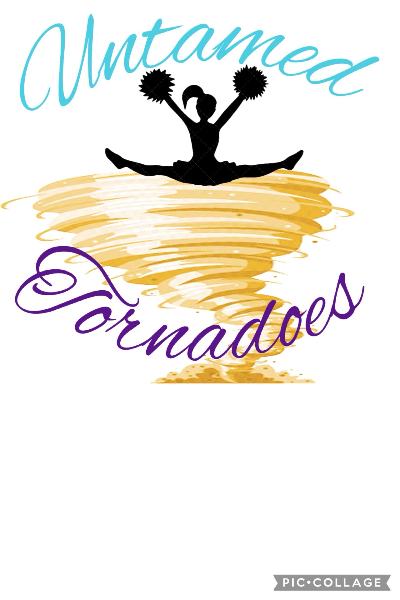 Untamed Dance & Cheer Company