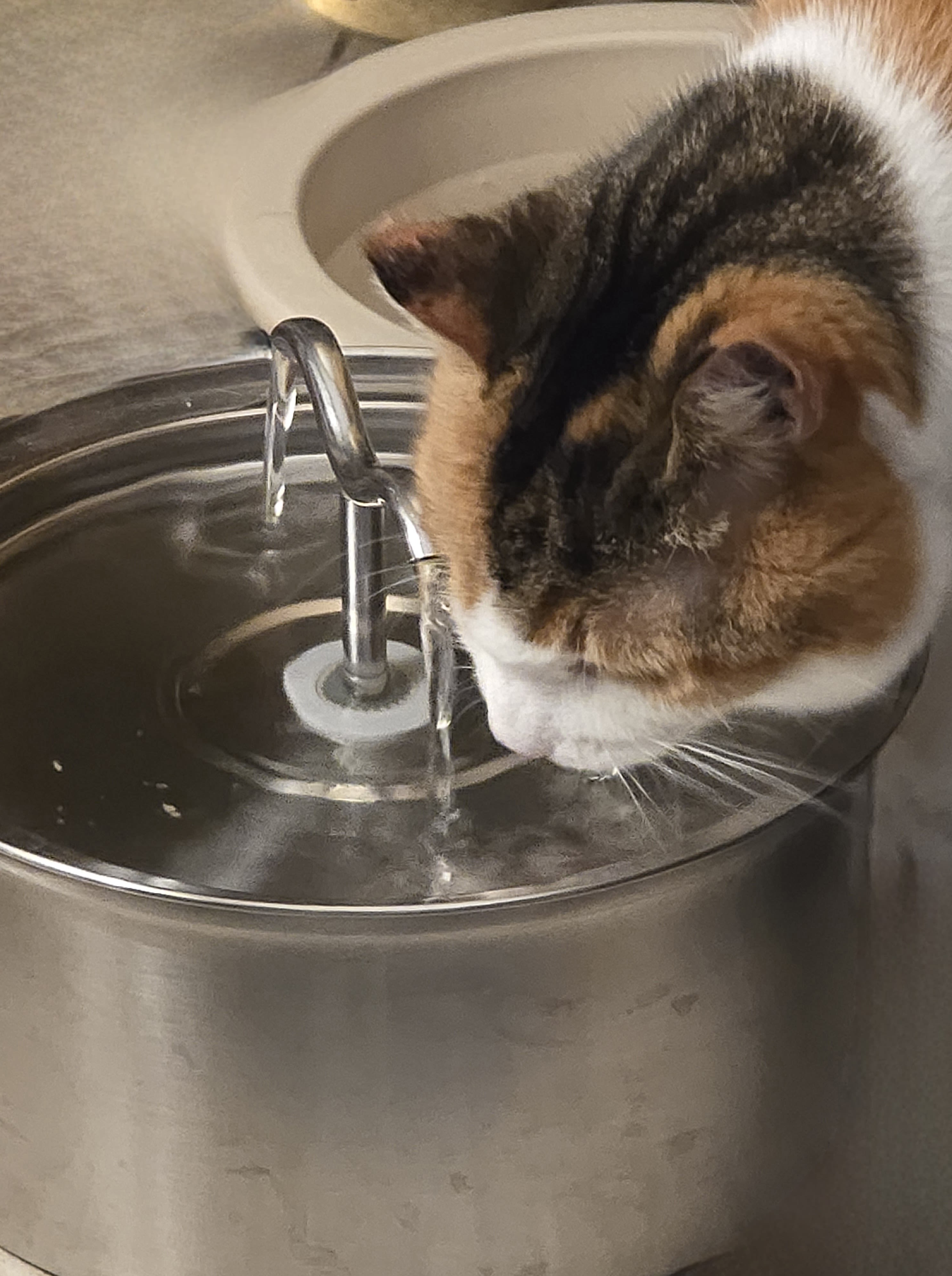 Section background image