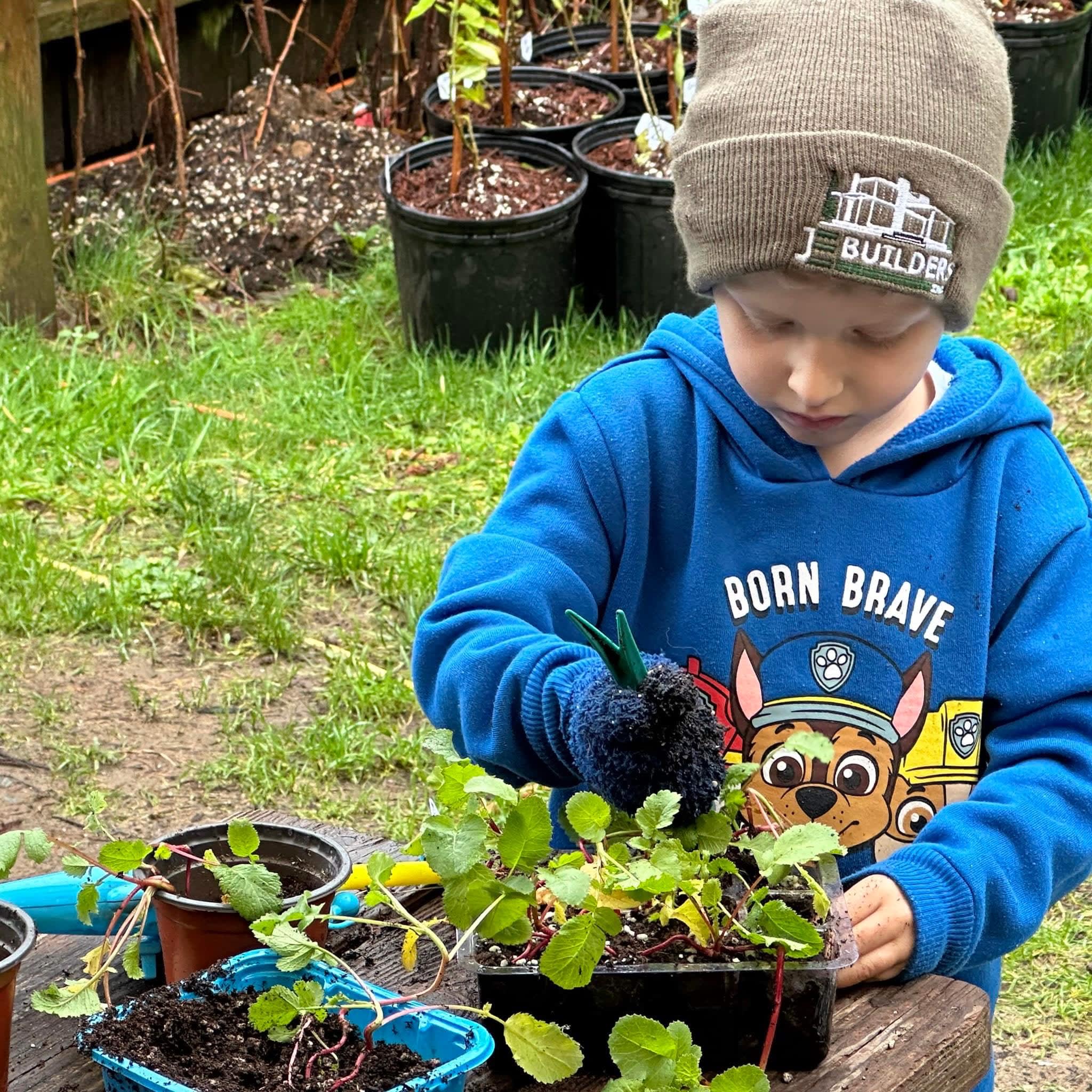 Country Road Nursery